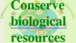 Consume wisely to conserve biological reserves